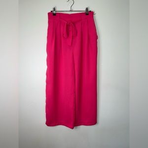 Zara Bold Pink Wide Leg Ankle Pants